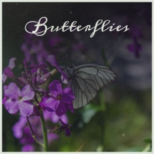 Album Butterflies from Various