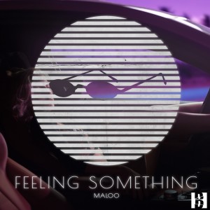 ดาวน์โหลดและฟังเพลง Feeling Something พร้อมเนื้อเพลงจาก Maloo