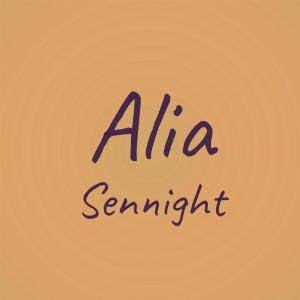 Listen to Hei Jicama song with lyrics from Dallal Gosia