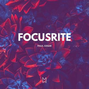 Album Focusrite from 