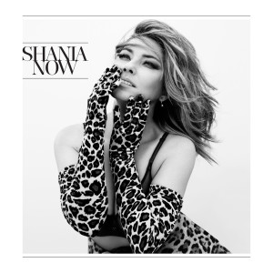 收聽Shania Twain的Soldier歌詞歌曲
