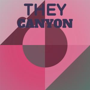 Various的专辑They Canyon