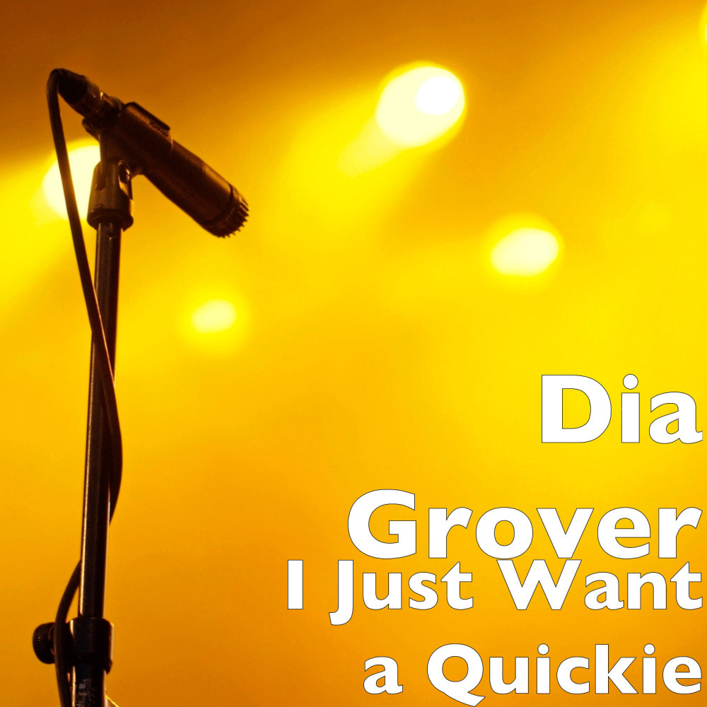 I Just Want a Quickie (Explicit)