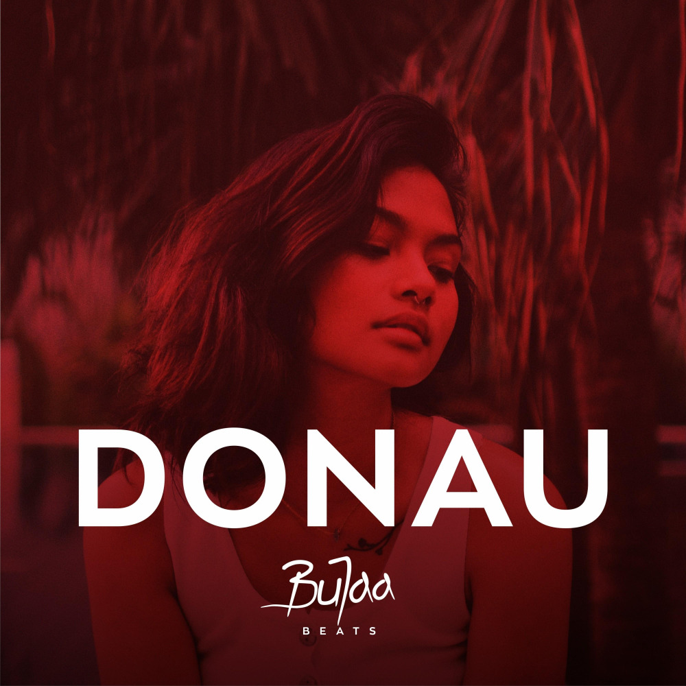 Donau (Instrumental)