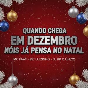 DJ PK O Único的專輯QUANDO CHEGA EM DEZEMBRO NÓIS JÁ PENSA NO NATAL