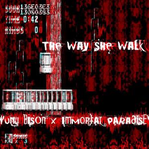 ดาวน์โหลดและฟังเพลง The Way She Walk (Explicit) พร้อมเนื้อเพลงจาก Yung Bison