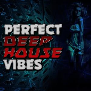 收聽Perfect Deep House的Totally Fine(Nick Hussey Remix)歌詞歌曲