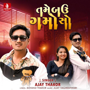 Ajay Thakor的專輯Tame Bau Gamo So