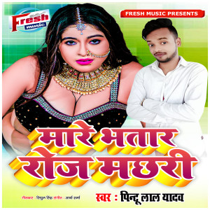 收聽Pintu Lal Yadav的Mare Bhatar Roj Machhari歌詞歌曲