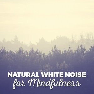 ดาวน์โหลดและฟังเพลง Water พร้อมเนื้อเพลงจาก Sounds of Nature White Noise for Mindfulness