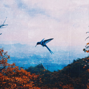 ดาวน์โหลดและฟังเพลง HUMMINGBIRD (Feat. greenbeige) พร้อมเนื้อเพลงจาก J;KEY
