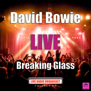 收聽David Bowie的Hurt [Feat. Nine Inch Nails] (Live)歌詞歌曲