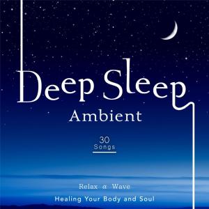 Relax α Wave的專輯Deep Sleep Ambient - Healing Your Body and Soul