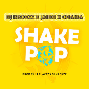 DJ Krokzz的专辑Shake Pop (Explicit)