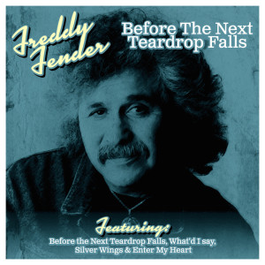 ดาวน์โหลดและฟังเพลง Silver Wings พร้อมเนื้อเพลงจาก Freddy Fender