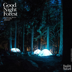 收聽힐링 네이쳐 Nature Sound Band的Night Forest for Healing 1歌詞歌曲