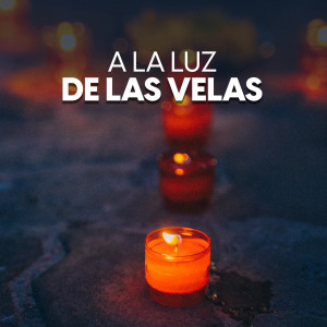 收聽Ana Guerra的Todas Las Flores (Operación Triunfo 2017)歌詞歌曲