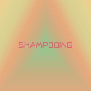 Various的专辑Shampooing