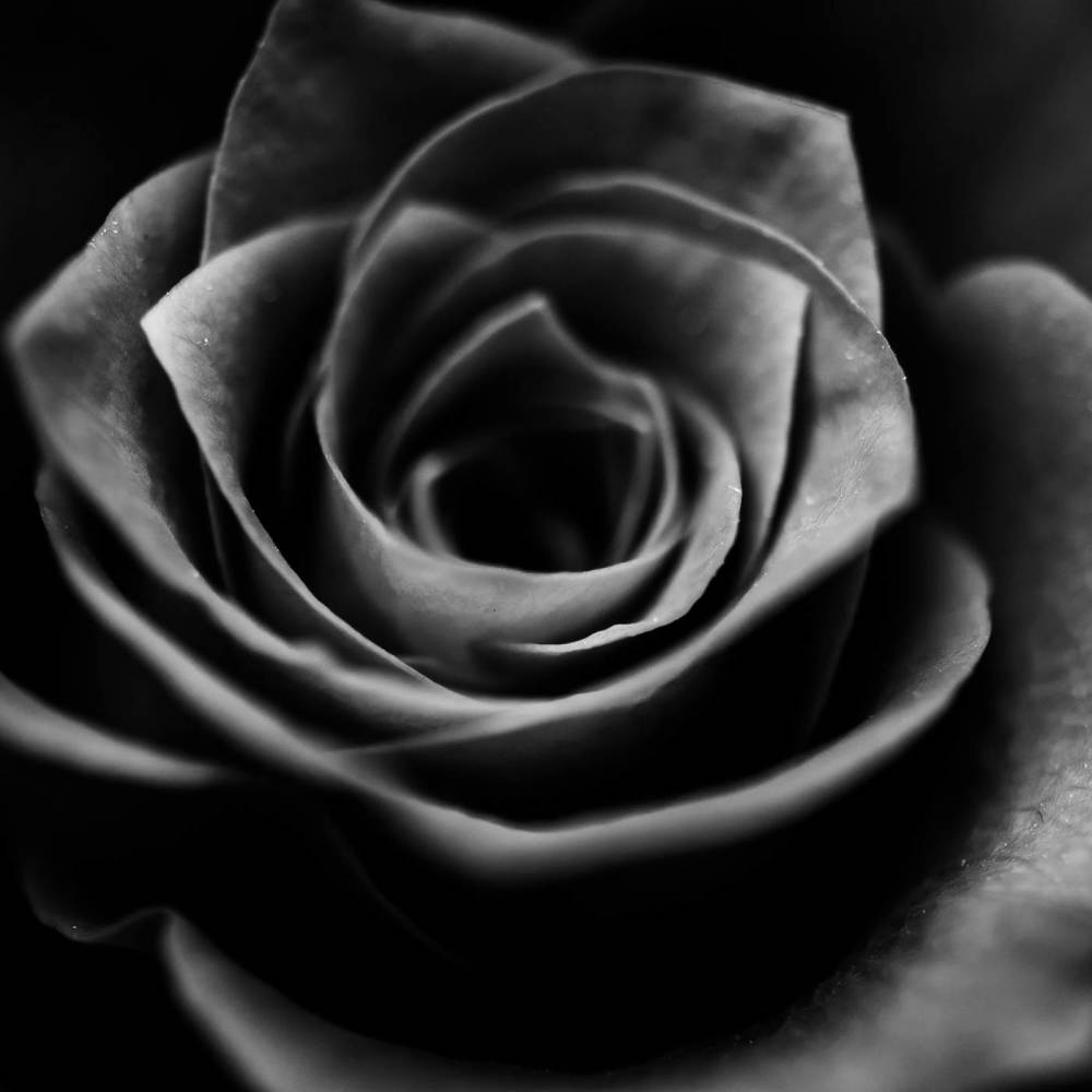 black love