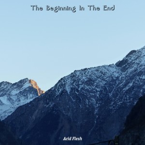 Listen to Dancer In The Dark song with lyrics from Acid Flesh