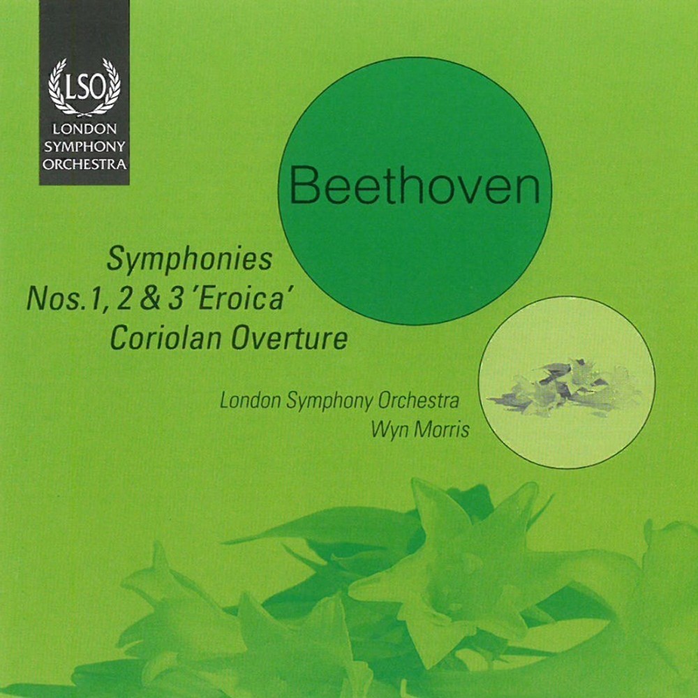 Symphony No. 2 in D Major, Op. 36:  II. Larghetto