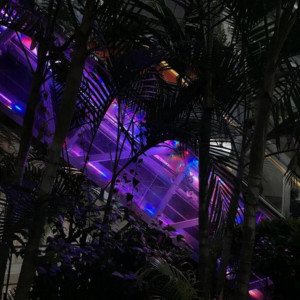 收聽wisteria的They Said You Didnt (Explicit)歌詞歌曲