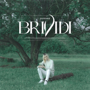 Listen to Brividi song with lyrics from Mandark