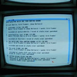 Album The Skies Are Your Hunting Ground from Auto-Auto