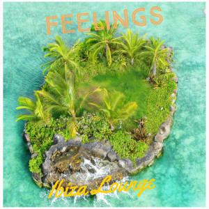 Ibiza Lounge的專輯Feelings
