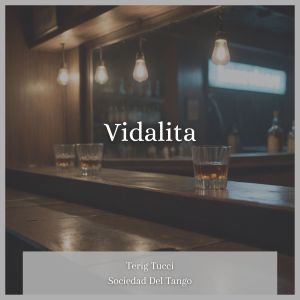 Terig Tucci的專輯Vidalita