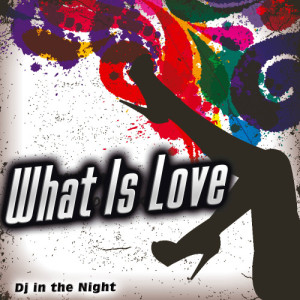DJ In the Night的專輯What Is Love - Single