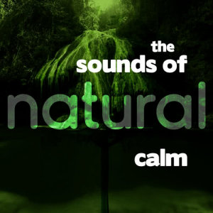 ดาวน์โหลดและฟังเพลง Lake Life พร้อมเนื้อเพลงจาก Forest Soundscapes