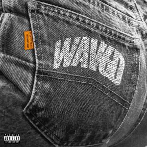 ดาวน์โหลดและฟังเพลง Price (Explicit) พร้อมเนื้อเพลงจาก Kaysh.