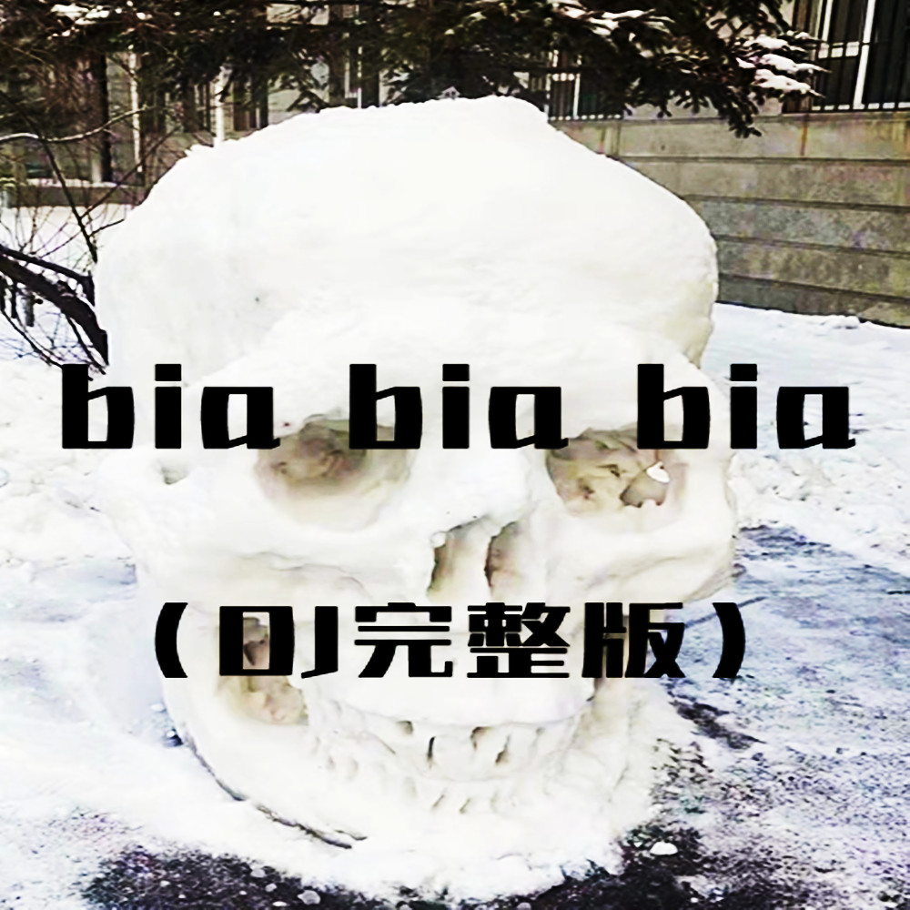 Bia Bia Bia (DJ完整版)