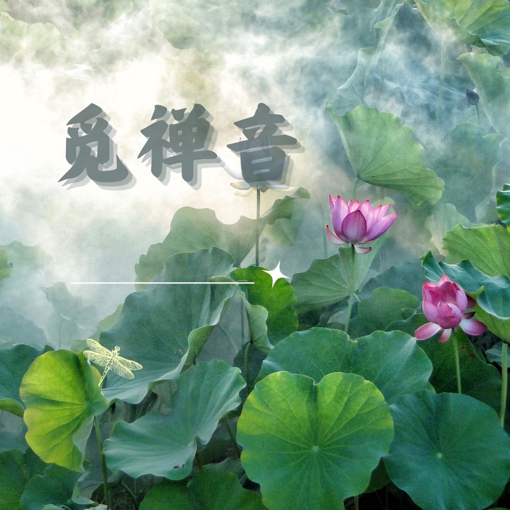 觅禅音