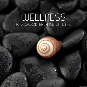 Wellness and Good Balance in Life (Relaxation Station, Relax Spa Ambience) dari Wellness Spa Oasis