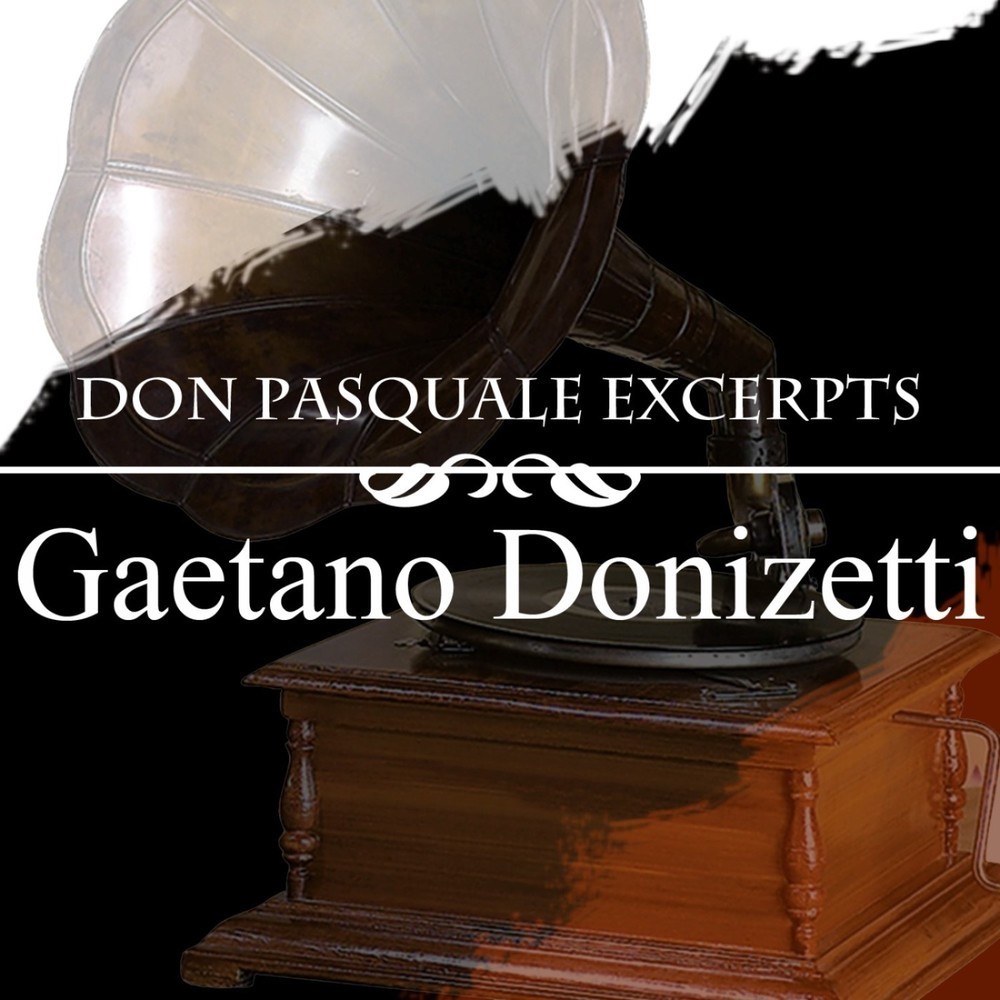 Don Pasquale: Act I - Vado, corro