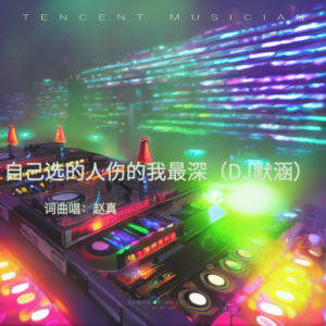 趙真的專輯自己選的人傷的我最深（DJ默涵）
