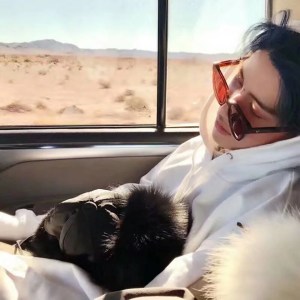 Dengarkan 从你的全世界路过 lagu dari 袁乐乐 dengan lirik