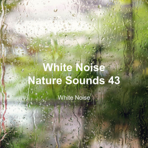 White Noise 43 (Rain Sounds, Bonfire Sound, Baby Sleep, Deep Sleep)