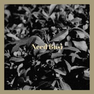 Album Need Busi from Various