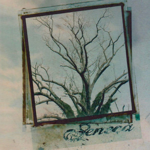 Listen to Paint the Scene song with lyrics from Seneca