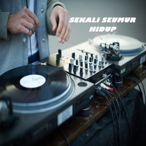 Listen to SEKALI SEUMUR HIDUP song with lyrics from Dj Rn Music
