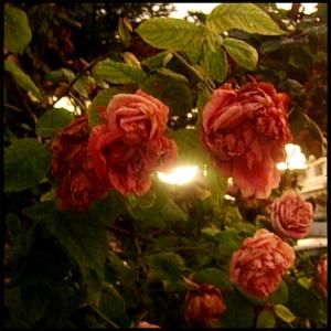 Listen to Einai Okay song with lyrics from Taratsa Paradeisou