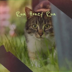 Various Artist的专辑Run Honey Run