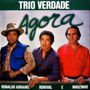 Listen to Tomando Mé e Dançando song with lyrics from Trio Verdade