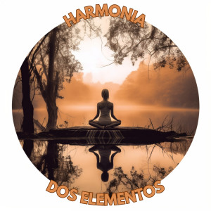 Academia de Meditação Buddha的專輯Harmonia dos Elementos.