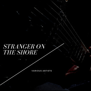 收聽Orchester Walter Eichenberg的Hully-Gully-Party歌詞歌曲