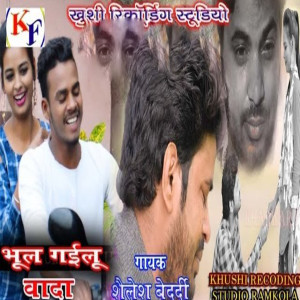 收聽Shailesh Bedardi的Bhul Gailu Vada歌詞歌曲