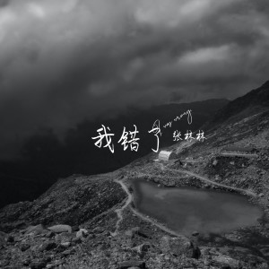 Album 我错了 from 张林林